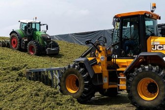 Viel Tierfutter herangewachsen -
