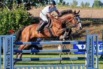 Viele Sieger kommen aus der Region - Martin Wittig (RSV Altmittweida) gewann am Samstag auf Golden Star Z die Punktespringprüfung der Klasse S*.