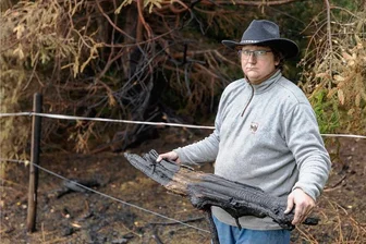 Vier Feuer auf der Ellefelder Juchhöh: War es Brandstiftung? - Direkt am Waldrand und dicht am Grundstück von Thomas Böttcher hat es am 28. Juli und 11. August gebrannt. Wiese und Unterholz gingen in Flammen auf, auch ein Baum wurde angekokelt. 