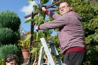 Vier-Meter-Marke fast geknackt -
