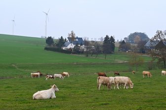 Vier neue Windräder bei Hainichen: Planer warten auf grünes Licht vom Landkreis Mittelsachsen - Blick aus dem Herbst 2024 zu vorhandenen Windrädern bei Eulendorf.