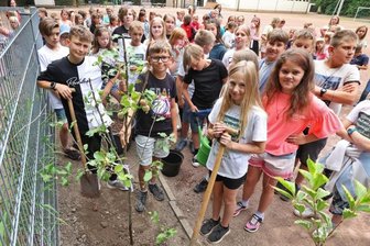 Viertklässler pflanzen zum Abschied Baum - 