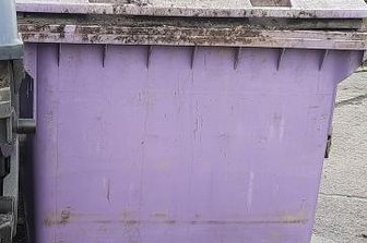 Violette Tonne: Der Sammler hat die Wahl - Diese Tonne stand an der Wernsdorfer Straße in Glauchau.