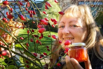 Vitaminbomben vom Wegesrand - Katrin Dechant hat schon die ersten Wildpflanzen im Blick, die Teil des geplanten Wildpflanzenparks werden sollen - hier Hagebuttensträucher bei der Familien- und Erlebniswelt im Zentrum. Aus den Früchten, die sie sammelt, stellt sie Marmeladen, Brotaufstriche und anderes her.