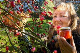 Vitaminbomben vom Wegesrand - Katrin Dechant hat schon die ersten Wildpflanzen im Blick, die Teil des geplanten Wildpflanzenparks werden sollen - hier Hagebuttensträucher bei der Familien- und Erlebniswelt im Zentrum. Aus den Früchten, die sie sammelt, stellt sie Marmeladen, Brotaufstriche und anderes her.