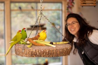 Vögel kehren in frisch sanierte Volieren im Plauener Stadtpark zurück - doch eine Tierschützerin warnt: „Brot zu füttern, das ist tabu“ - Nach der Sanierung der Voliere im Stadtpark sind alle 70 Vögel, die während der Baumaßnahmen bei privaten Pflegern untergekommen sind, wieder eingezogen. Dass es den Tieren gut geht, ist vor allem Janet Rödel zu verdanken.
