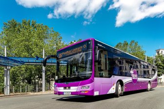 „Völlig unverständlich“: Limbach-Oberfrohnas Entscheidung gegen digitale Haltestellen irritiert Experten und Fahrgäste - Die Entscheidung des Stadtrates von Limbach-Oberfrohna gegen mehr Digitalisierung im ÖPNV sorgt bei Experten und Fahrgästen für Kritik.