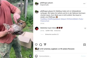 Vogel verfängt sich in Volleyballnetz: Mitarbeiter des Plauener Pfaffenguts retten Waldkäuzchen - Dem Plauener Pfaffengut ging unbeabsichtigt ein Waldkäuzchen ins Netz.
