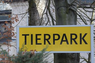Vogelgrippe: Chemnitzer Tierpark tötet Dutzende infizierte Tiere - Wegen der Vogelgrippe öffnet der Tierpark Chemnitz erst am 6. Februar wieder.