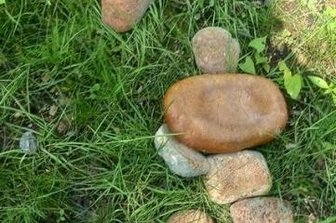 Vogelschutz: Wut über "Fast Food" für Enten - Stadtpark Oederan. 