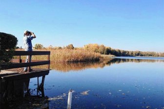Vogelstimmenwanderung - Die Beobachtungsplattform am Limbacher Teich.