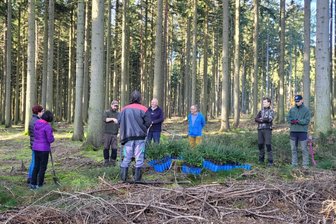 Vogtländer pflanzen bei Friesen 150 Weißtannen - Die Mitglieder des Heimatvereins Friesen und weitere Helfer haben am Samstag Weißtannen gesetzt.