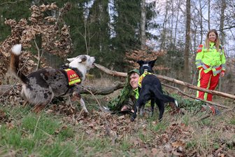 Vogtländer trainieren Vermissten-Suche mit Rettungshunden: „Im Einsatz kann es um Leben oder Tod gehen“ - Die beiden Australien Koolies von Staffelleiterin Carola Deppler bei der erfolgreichen Personensuche im Wald.