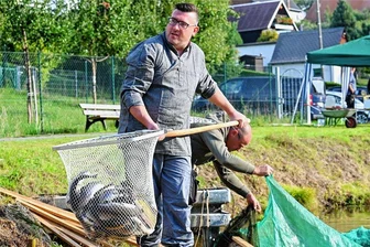 Vogtländische Fischer enttäuscht: Kein gutes Karpfenjahr - Der warme Sommer hat sich auch auf den Fischbestand der Friesener Teiche ausgewirkt. Während die Hitze den Schleien nichts ausmachte, sah es beim Karpfen anders aus.