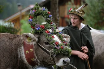 Vogtländische Jungzüchterclub ruft Landwirte und ihre Kühe zum Kostümwettbewerb auf - So oder anders könnten auch die Fotos aussehen, die beim Kostümwettbewerb im Vogtland entstehen, zu dem der Jungzüchterclub aufgerufen hat. In Bayern schmücken sich Bauern und Rinder heraus, wenn die Tiere alljährlich von den Almwiesen in den Bergen in den Stall gebracht werden.