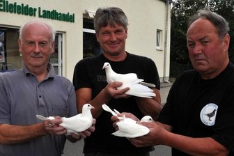 Vogtländische Züchter schicken Tauben zu Olympischen Spielen - Horst Buchheim aus Grünbach (r.) und Bernd Möckel aus Schnarrtanne (l.) schickten am Dienstag Brieftauben auf die Reise nach London. Einsatzstelle in Ellefeld war bei Uwe Subroweit (Mitte).