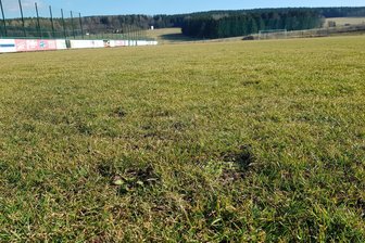 Vogtländischer Fußballplatz wird gründlich renoviert - Vor fast sieben Jahren hat der Sportplatz seine letzte umfassende Renovierung erlebt.