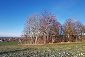 Vogtländischer Stadtrat stellt Weichen für Kommunalwald - Der ehemalige Oberlauterbacher Friedhof als kleinste Teilfläche muss keine Federn lassen.