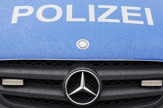 Vogtland: Bundespolizei greift 29 irakische Kurden auf - 
