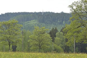 Vogtland: Diese Ziele steuert eine Wanderung am Samstag an - Blick zum Hohen Brand (803 Meter), einem Ziel der Wanderung am Samstag.