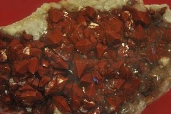 Seltene Mineralien werden auf der Börse gezeigt. So auch etwa der in Kirchberg gefundene Rauchquarz.