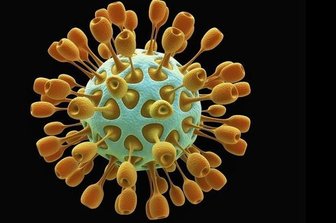 Vogtland: Neun Corona-Erkrankte in stationärer Behandlung - Insgesamt festgestellt worden sind im Vogtlandkreis 36 Fälle von Covid-19-Infektionen. Neun Corona-Erkrankte befinden sich derzeit in den Krankenhäusern der Region.