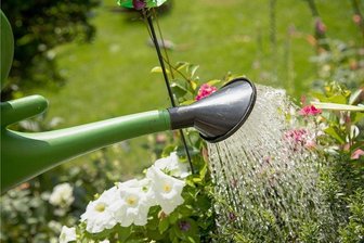 Vogtlandkreis verbietet das Abpumpen aus Gewässern - Das Schöpfen zum Beispiel mit einer Gießkanne ist bei ausreichender Wasserführung noch erlaubt.