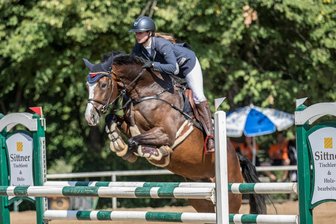 Volksfeststimmung im Park - iIm Vorjahr vorn dabei: Nadine Göpfert landete mit Boris little Princess auf Platz 4 in der Springpferdeprüfung der Klasse L.