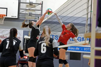 Volleyball-Sachsenliga: Ein Sieg ist für Fortschritt Lichtenstein zu wenig für die selbst gesteckten Ziele - In der Partie zwischen Lichtenstein (schwarze Trikots mit Christin Judaschke am Ball) und Görlitz ging es teilweise sehr eng zur Sache.