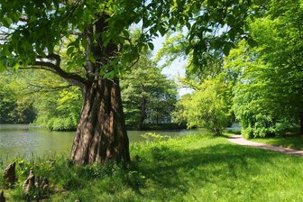 Vollmundführung durch den Fürstlich Greizer Park - Den Fürstlich Greizer Park kann man am Dienstag bei Vollmond erkunden.