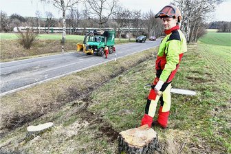 Vollsperrung: Baustelle auf der B 173 bei Freiberg wirft erste Schatten voraus - Thomas Kermer von der gleichnamigen Firma Baumdienst und Forstservice aus Gornau hat am Mittwoch mit zwei Mitarbeitern insgesamt 22 Birken an der B 173 westlich von Freiberg gefällt und abtransportiert. 