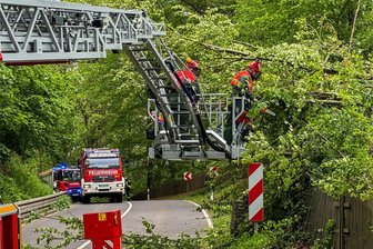 Vollsperrung der Auer Talstraße: Vom Sturm gefällter Baum löst Einsatz der Feuerwehr aus - Aus einem eingezäunten Grundstück war der Baum auf die Auer Talstraße gestürzt. Mit Hilfe von Motorsäge und Drehleiter machten Feuerwehrleute die Straße wieder frei.