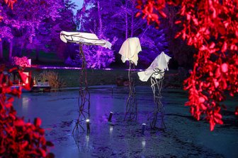 Vom Badeteich zum Kunst-Ort: Callenberg hat mit „Ghosts“ nun seine eigene Purple-Path-Skulptur - Zur Einweihung der Skulptur „Ghosts“ wurden die Bäume am Anlagenteich illuminiert.
