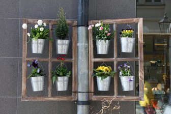 Vom blühenden Trabant bis zum bepflanzten Klavier: Zwickau wird bunt - Zwickau blüht auf gibt es schon lange – hier ein Foto von 2018.