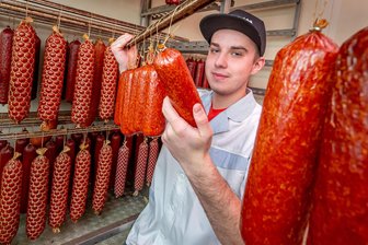 Vom Gesellen zum Meister in Rekordzeit: Erzgebirger startet im Fleischerhandwerk durch - Max Neubert hängt frische Salamis im Reiferaum auf. Der 19-Jährige hat erst im Sommer seine dreijährige Lehre beendet und ist jetzt schon Meister des Fleischerhandwerks.