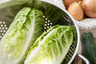 Vom Grill bis Caesar Salad – Romanasalat macht alles mit - Mehr als nur Rohkost: Romanasalat kann nicht nur Salat – man kann ihn auch dünsten, braten oder grillen, ohne dass er zerfällt.