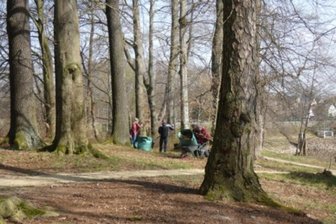 Vom Laube befreit: Helfer bringen Rittergutspark Langenau auf Vordermann - Beim Frühjahrsputz am Wochenende haben Helfer den Rittergutspark von Laub befreit.