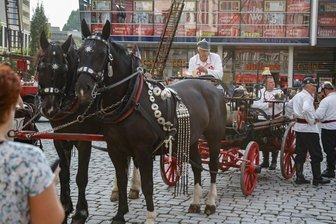 Vom Pferdegespann zum Löschzug - Berufsfeuerwehr Chemnitz feiert 150-Jähriges -