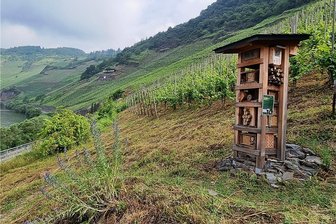 Vom Winzer zum Klimaschützer - Einer von 100 "Lebenstürmen", die an der Mosel entstanden sind. Er ist für mehrere Tierarten konzipiert.