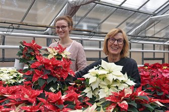 Von Adventsbasteln und Whiskey-Verkostung: Das bietet der lebendige Adventskalender in Augustusburg dieses Jahr - Karin Weißbach und Julia Boerner (von links) laden zum Adventsbasteln im Rahmen des Augustusburger Adventskalenderprojektes ein.