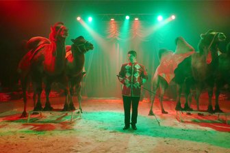 Von Afterwork-Yoga bis Zirkus: Das geht diese Woche in Mittelsachsen - Der Circus Magic gastiert von Donnerstag bis Sonntag in Mittweida und hat mehrere Veranstaltungen geplant. Donnerstag ist Familientag. Die Show beginnt 17 Uhr.