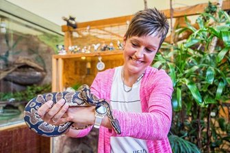 Von Ausreißern und Überfliegern: Diese Tiere haben das Erzgebirge 2022 beschäftigt - Franziska Meier von der Gemeindeverwaltung Bockau mit Steini, dem Königspython. Der kam in den Auer Zoo der Minis ins Terrarium von Artgenossin Elisabeth, die seit 2013 in Aue lebt. 