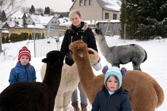 Von den fünf Alpakas gleich neben der Bahn - Beim Füttern: Adrian (5), Cindy Jokisch und Elisa (4) mit den Alpakas auf der Weide hinter dem Haus. 