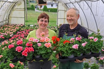 Von der Chrysantheme zur Kakao-Tomate: 100 Jahre Gärtnerei Gränz in Langenchursdorf - Seit 100 Jahren gibt es die Gärtnerei Gränz in Langenchursdorf. Petra und Bernd Gränz führen das Geschäft in dritter Generation.