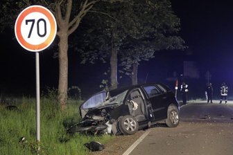 Von der Fahrbahn abgekommen - Pkw-Fahrer schwer verletzt -