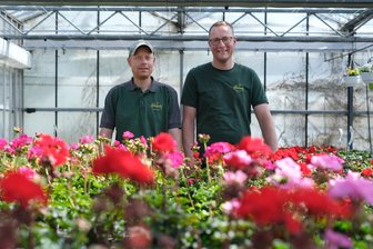 Von der Geschichte lernen: Wie die Bimbergs ihre Gärtnerei in Freiberg zukunftssicher machen - Michael und Martin Bimberg (v.l.) führen die Gärtnerei in Freiberg in achter Generation
