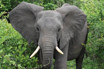 Von der Kalahari zu den Drakensbergen: Südafrikas Vielfalt in Bildern -