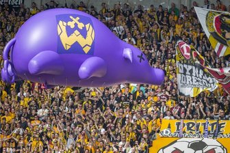 Von Dynamo-Fans geschlachtet: Die lila Aue-Sau wird zum Glücksschwein für den FSV Zwickau - Der Hingucker des Spiels Dynamo Dresden gegen FC Erzgebirge Aue am 30. April 2016: Ultra-Fans lassen eine lila Aue-Sau über den K-Block im Dresden Harbig-Stadion fliegen. 