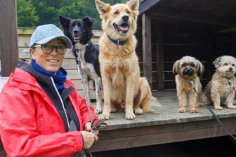 Von Festbesuch bis Orgelkonzert - 