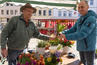 Von Gärtnerei bis Käse-Maik – Start für großen Wochenmarkt im Erzgebirge - Martin Lange (rechts) möchte sich den Frühling ins Haus holen und kaufte am Dienstag auf dem Wochenmarkt in Annaberg Narzissen und Tulpen bei Jürgen Baden von der Annaberger Gärtnerei Baden.
